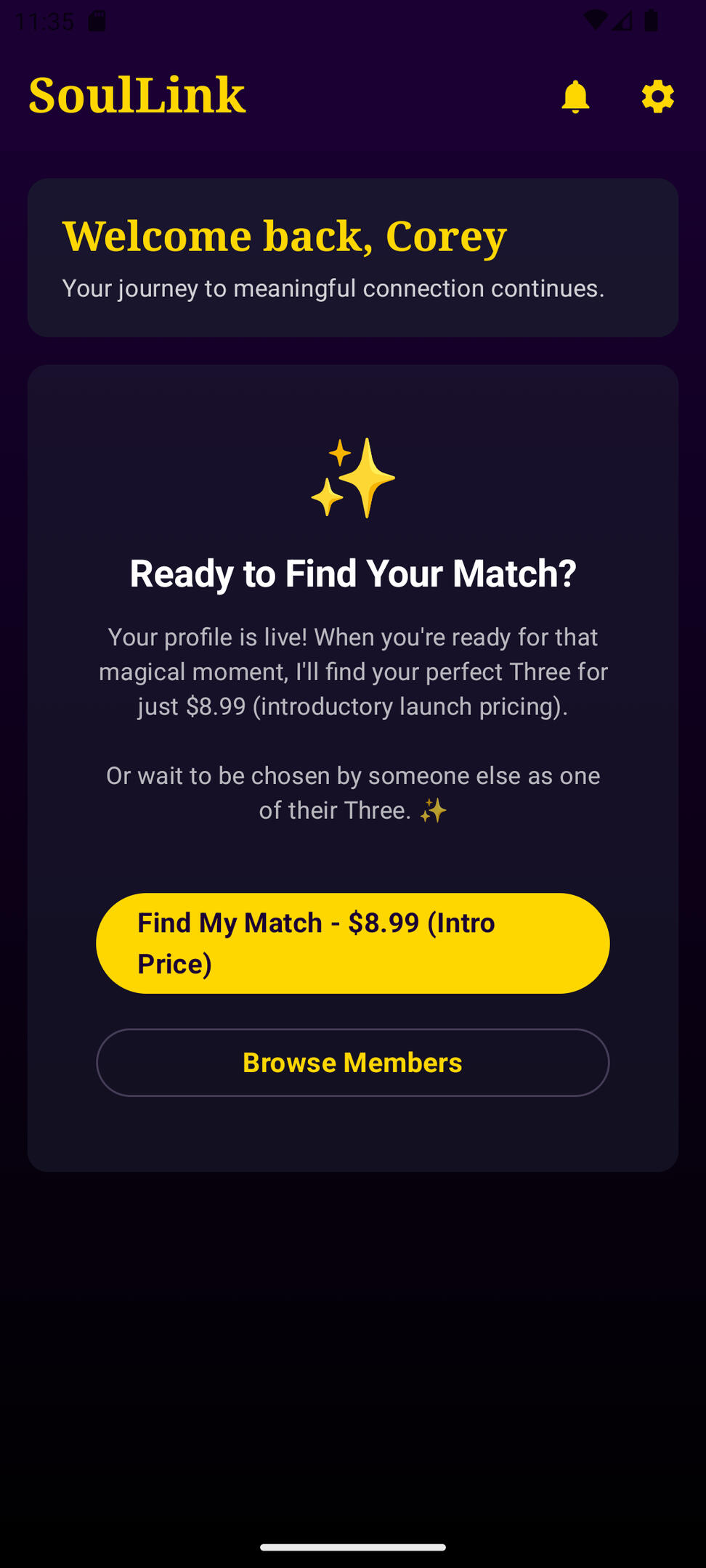 Where Souls Find Their Match